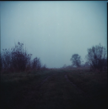 https://piotrkocwin.art/files/gimgs/th-15_nightscape00008.jpg