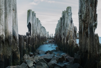 https://piotrkocwin.art/files/gimgs/th-41_landscape201909.jpg